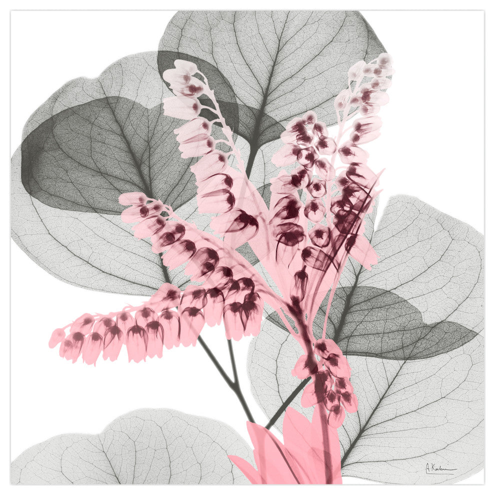 "Eucalyptus Bush 1"Frameless Free Floating Panel Graphic Wall Art, 24"x24"