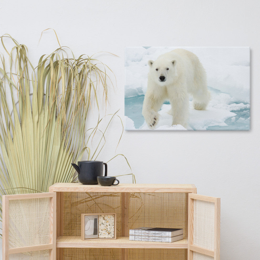 Giant White Polar Bear Walking On Icy Lake Wildlife Photo Canvas Wall Art Print, 24" X 36"