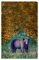 Black Bear Kitchen Towel - Two Sets of Two (4 Total)