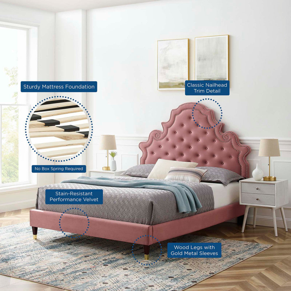 Tufted Platform Bed Frame, Queen Size, Velvet, Pink, Modern Contemporary