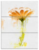 Orange Gerbera Sketch Watercolor, Flowers Canvas Wall Artwork, 28x36, 3 Panels