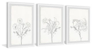 Plant Dreams Triptych, Set of 3, 24x36 Panels