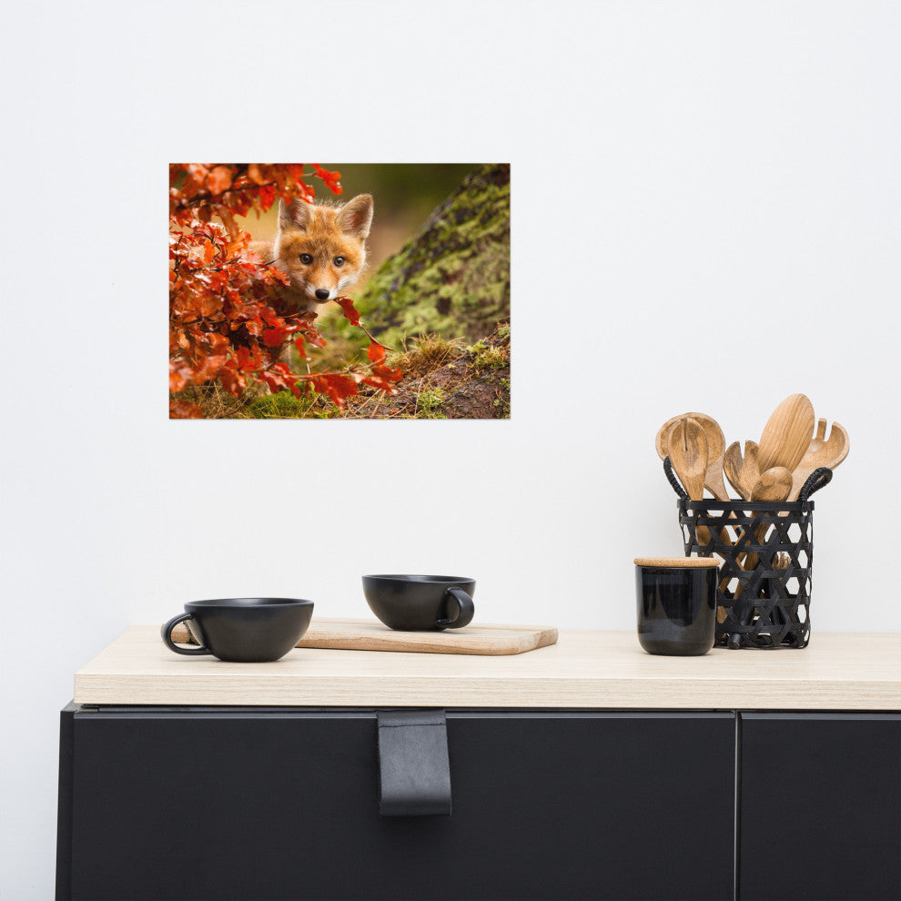 Baby Red Fox Face and Autumn Leaves Animal Wildlife Photo Loose Wall Art Print, 12" X 16"