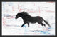 Parvez Taj "Black Horse Stride" Framed Painting Print, 18"x12"