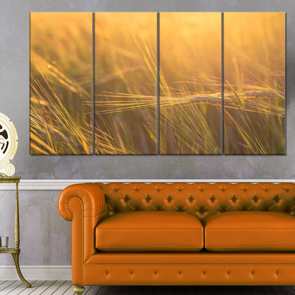 Wheat Field Close up at Sunset, Large Landscape Canvas Art, 48"x28", 4 Panels