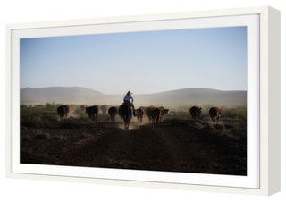 Mosey Along Fine Art Print, White, 20"x30"
