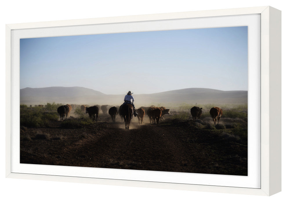 Mosey Along Fine Art Print, White, 20"x30"