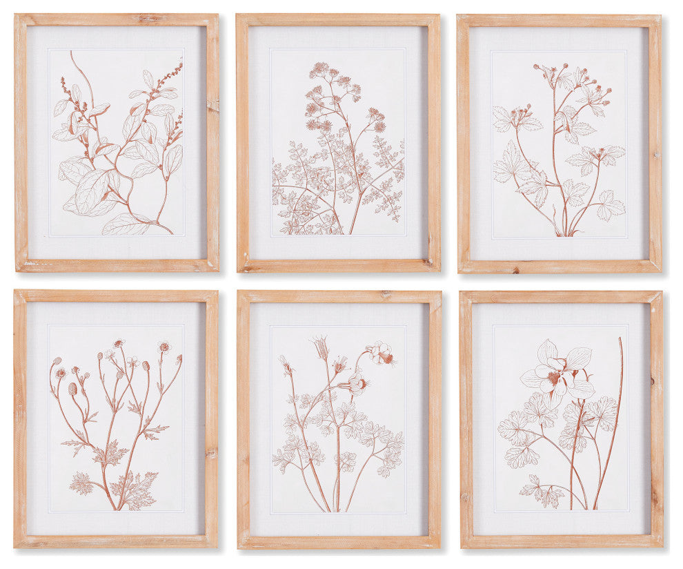 Botanicals, Blush Prints, Set of 6