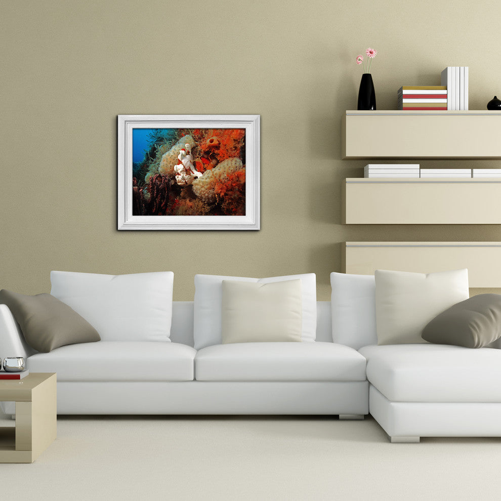 Ready2hangart Christopher Doherty Photography 'Underwater' Canvas Wall Art