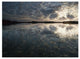 "American Alligator in 9-mile Pond, Everglades National Park" Paper Art, 42"x32"