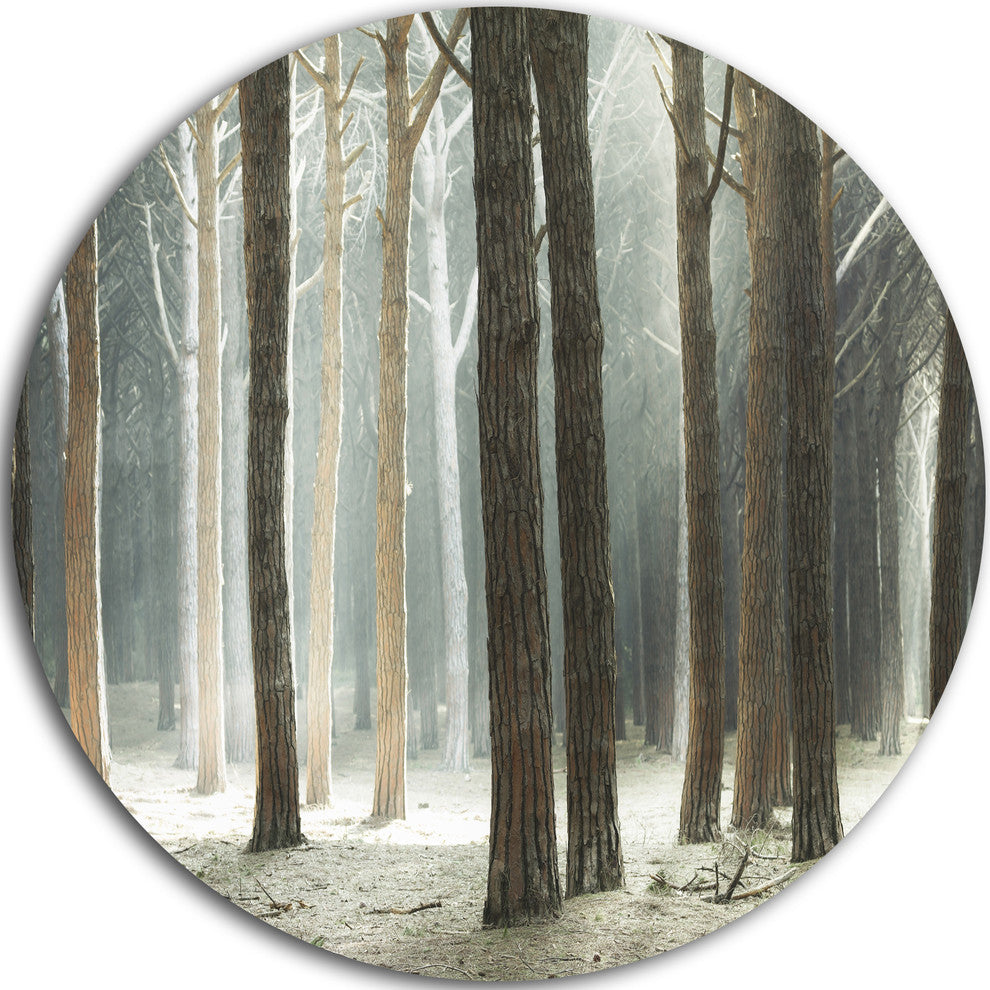 Maritime Pine Tree Forest With Rays, Forest Disc Metal Wall Art, 23"