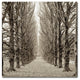 Alan Blaustein ''Hampton Gates Promenade III'' Canvas Art, 14x14