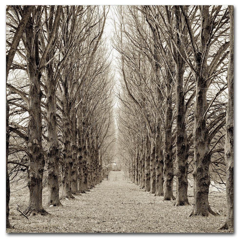 Alan Blaustein ''Hampton Gates Promenade III'' Canvas Art, 14x14
