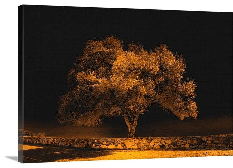 "Black Sweat" Wrapped Canvas Art Print, 48"x32"x1.5"