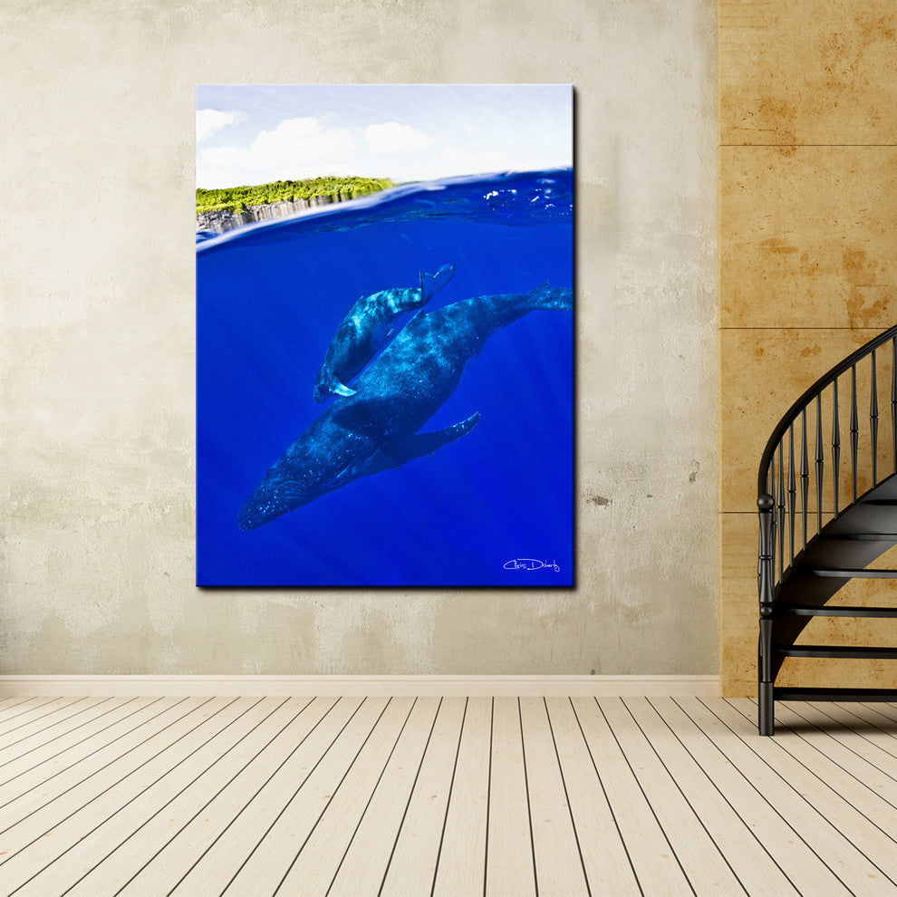 Ready2hangart Chris Doherty 'Whales' Canvas Wall Art