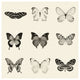 "Butterfly - BW 9 Patch" Digital Paper Print by Debra Van Swearingen, 32"x32"