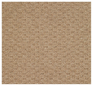 Shoal Raffia Machine Woven Rectangle Rug, 4'x6'