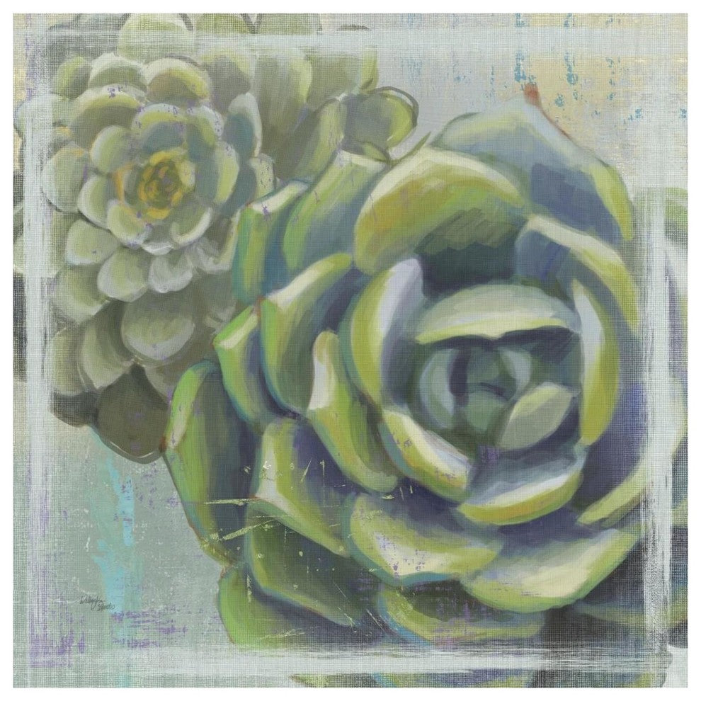 "Succulents II" Digital Paper Print by Wellington Studio, 38"x38"