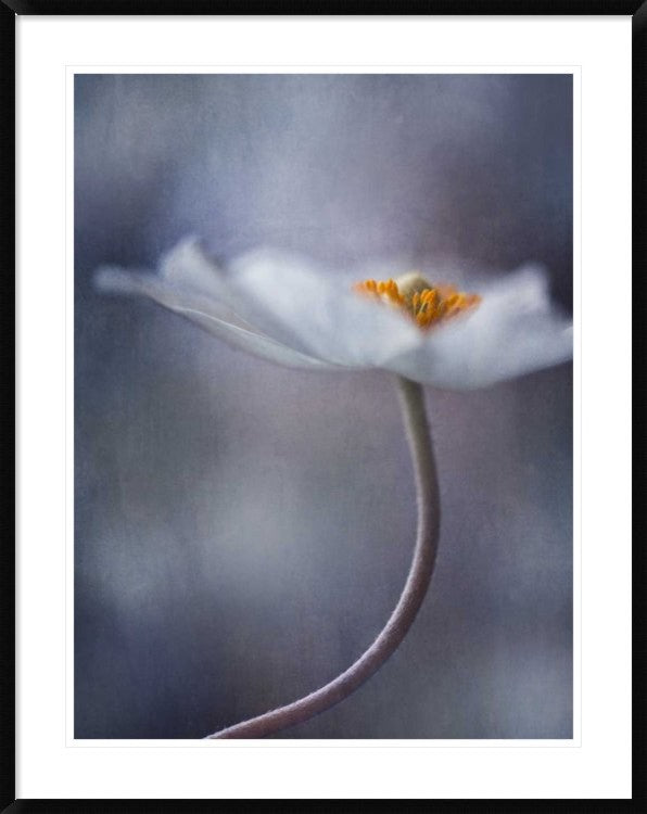 "The Beauty Within" Framed Digital Print by Priska Wettstein, 35x44"