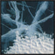 "Abstract of marbled ice, Antarctica"  by Colin Monteath, 19x19"