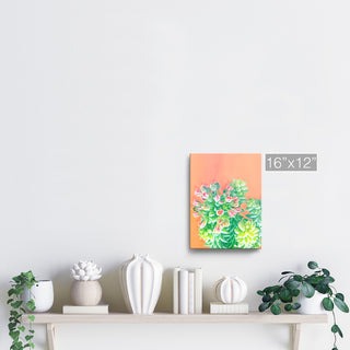 Ready2HangArt 'Fresh Growth' Wrapped Canvas Succulent Wall Art, 16"x12"