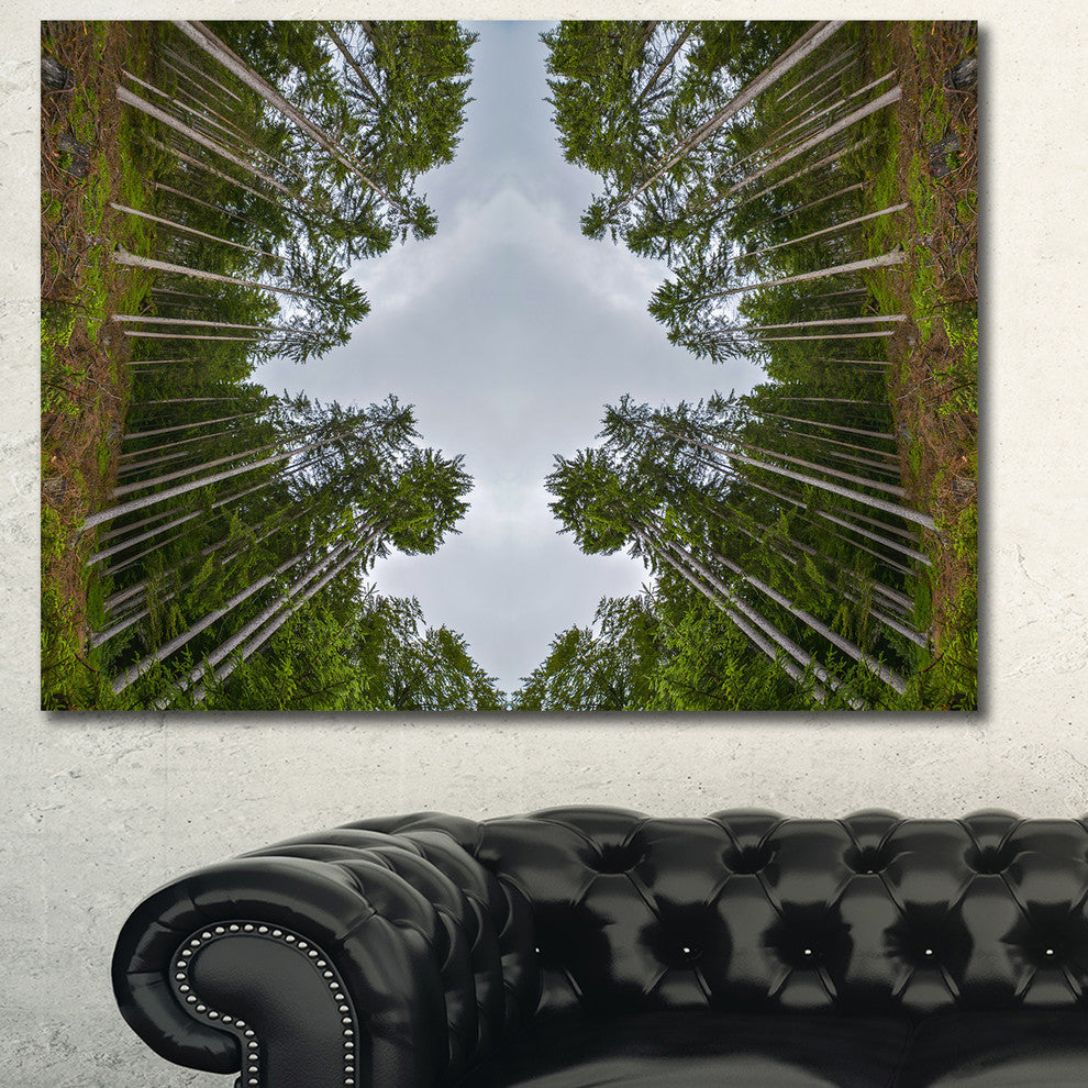 Circle Composition of Coniferous Trees, Landscape Canvas Art Print, 40"x30"