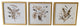 Set of Three Botanical Wildflowers Wall Art