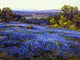 Julian Onderdonk Bluebonnets Late Afternoon North of San Antonio Canvas Wrap