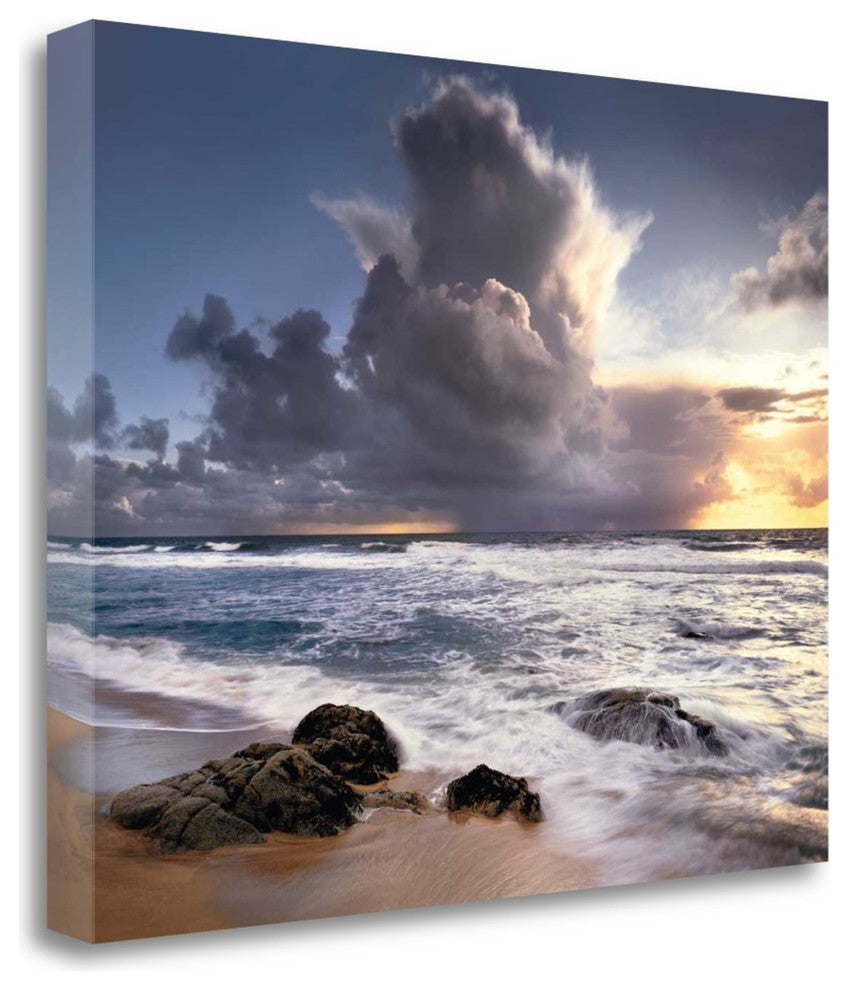 "Forces Of Nature" By Christopher Foster, Giclee Print on Gallery Wrap Canvas