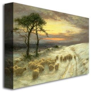 'Sheep in the Snow' Canvas Art by Joseph Farquharson