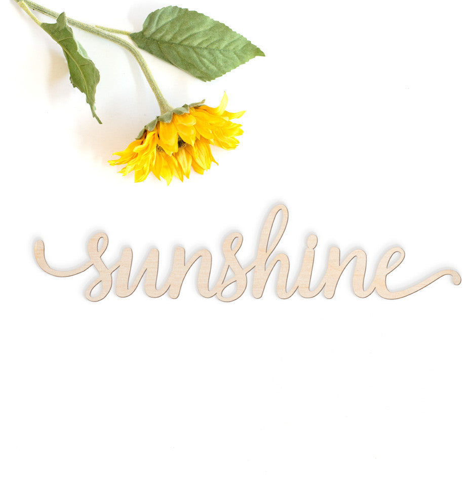 Sunshine Script Word Wood Sign, 18"x4"