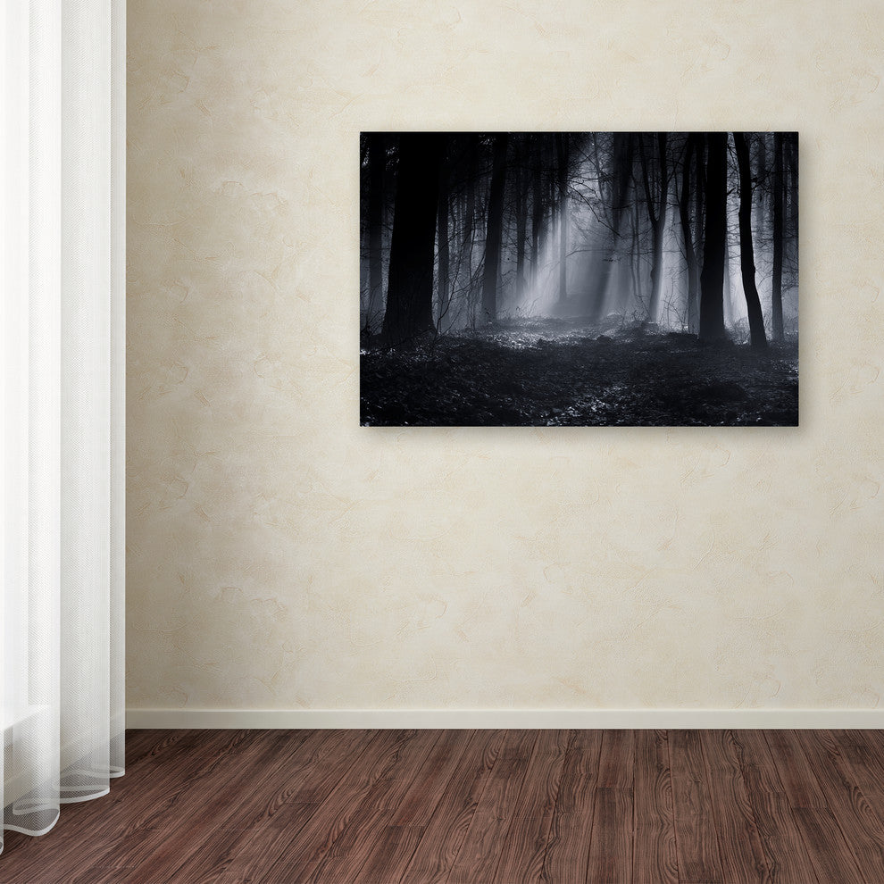 Julien Oncete 'Capela Forest' Canvas Art, 16x24