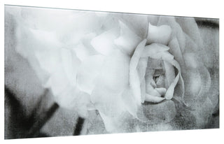 "Dark Ranunculus I A" Frameless Reverse Printed Tempered Art Glass Wall Art