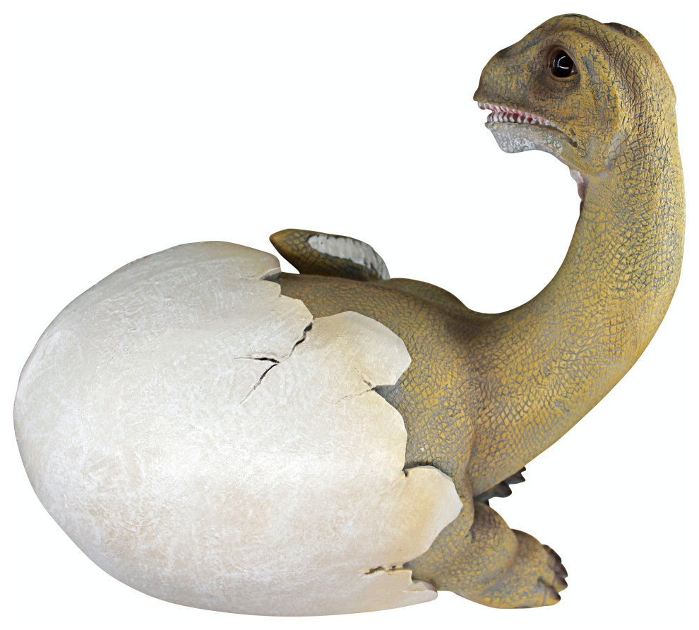 Baby Brachiosaurus Dino Egg Statue