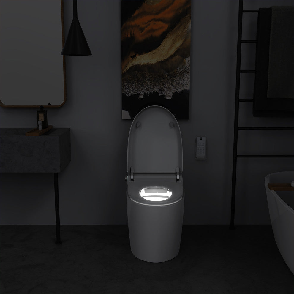 Multifunction Single Flush Ceramic Smart Toilet, Heated Seat