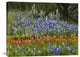 "Bluebonnet And Pricky Pear Cactus, Texas" Artwork, 32" x 24"