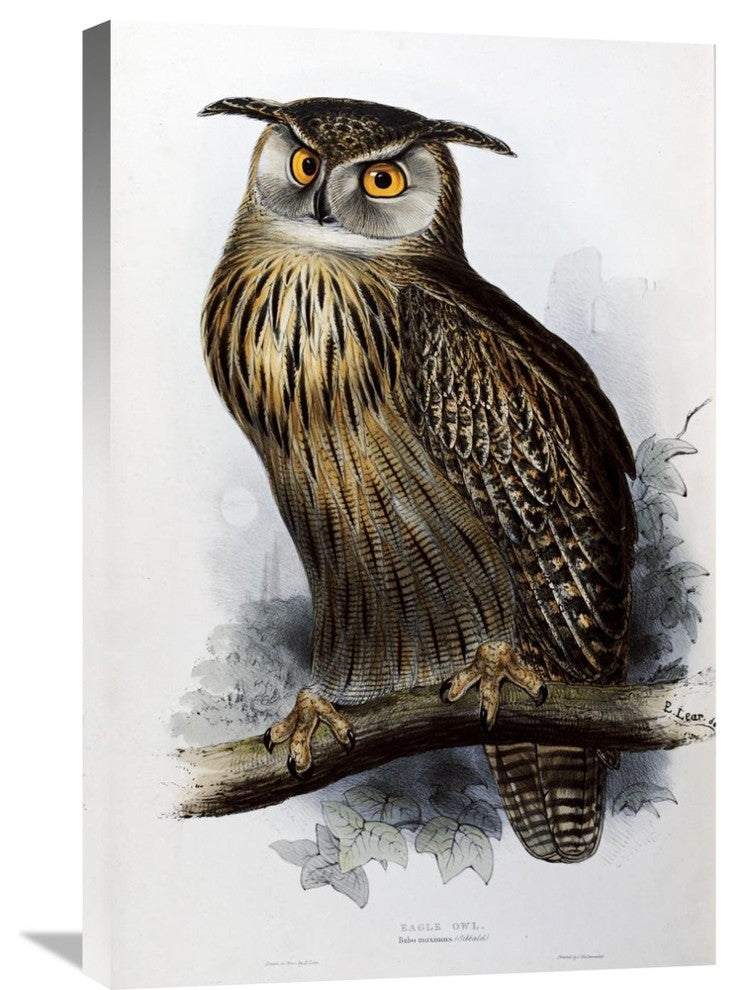 "Eagle Owl" Artwork