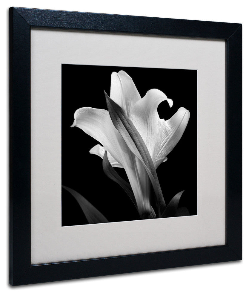 'Lily' Matted Framed Canvas Art by Michael Harrison