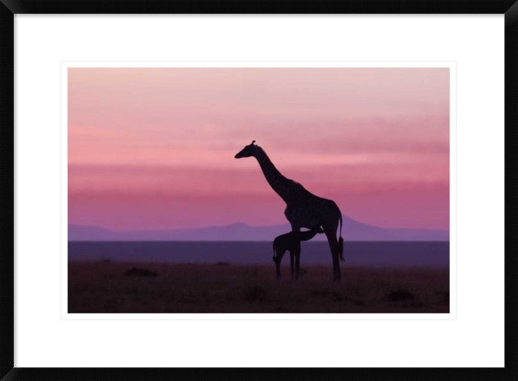 "Good Morning Masai Mara 7" Framed Digital Print by Libor Plocek, 30x22"