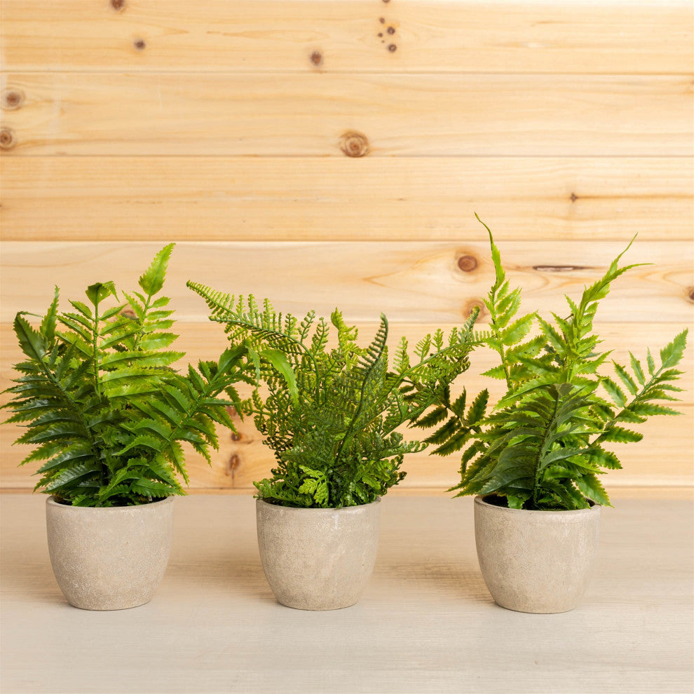 Potted Fern, 3-Piece Set, 9.5"H Plastic