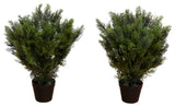 2ft. Artificial Cedar Tree UV Resistant, Indoor/Outdoor Set of 2