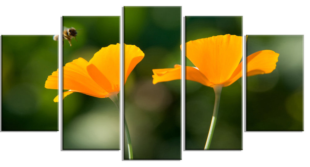 Orange Flowers and Flying Bee, Floral Canvas Art Print, 60"x32", 5 Panels