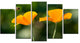 Orange Flowers and Flying Bee, Floral Canvas Art Print, 60"x32", 5 Panels