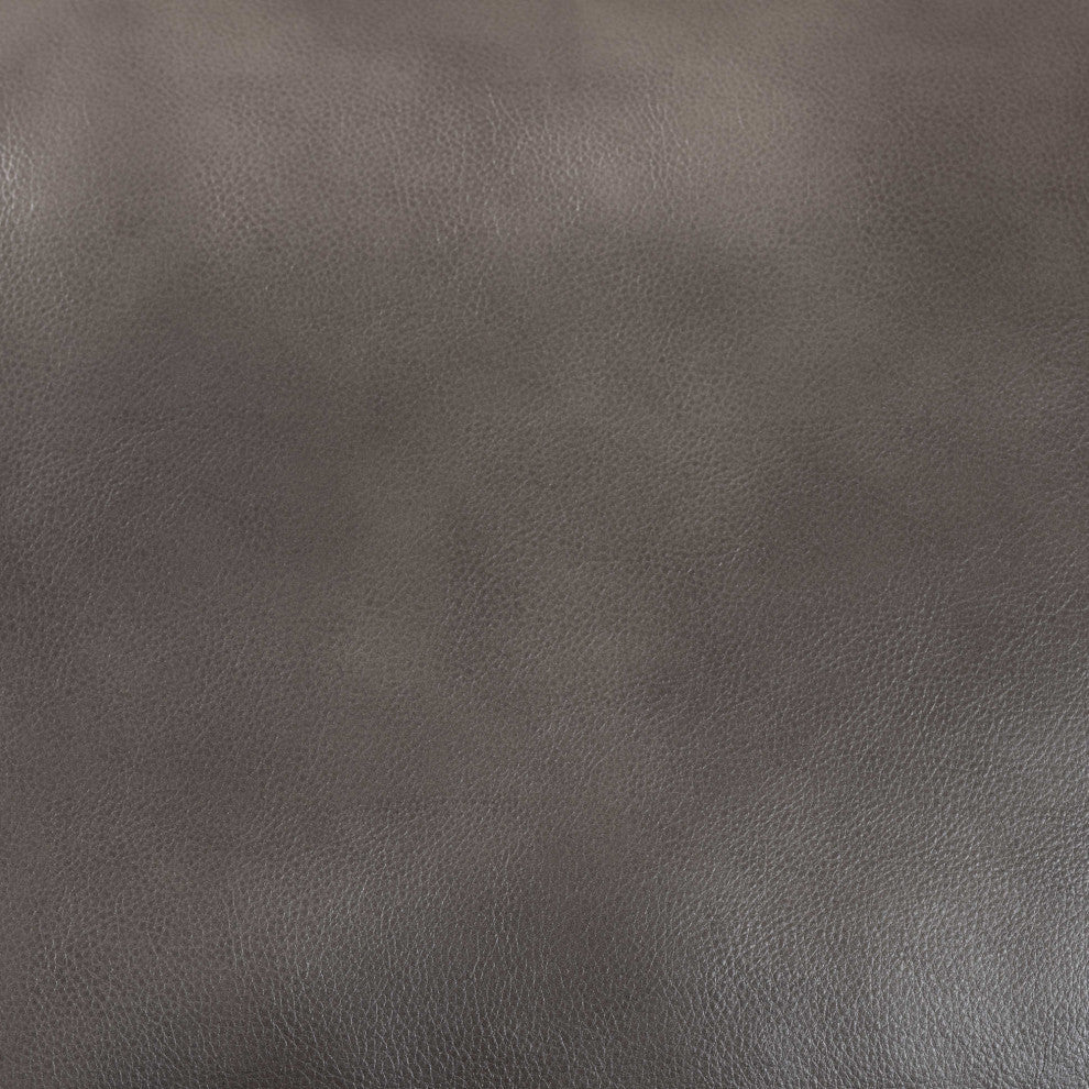 Rayan Modern Grey Faux Leather Upholstered Silver Finished Metal Loveseat