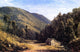 Sanford Robinson Gifford Home in the Wilderness Wall Decal