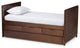 Linna Walnut Twin Daybed With Trundle, Walnut Brown