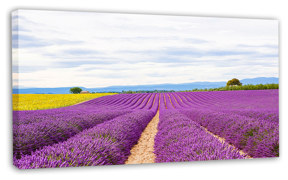 Sunflower and Lavender Fields, Landscape Canvas Wall Art, 32"x16"