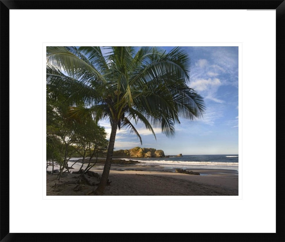 "Palm trees line Pelada Beach, Costa Rica"  by Tim Fitzharris, 24x20"