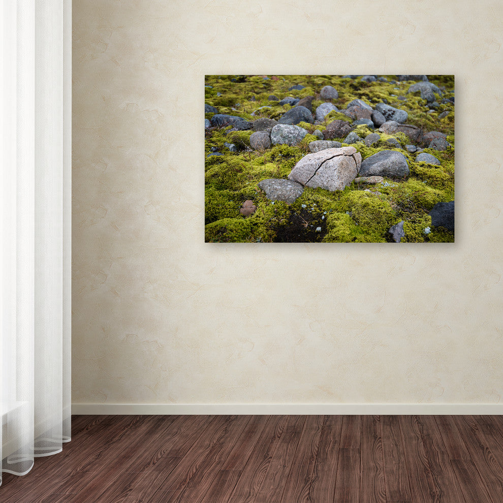 Philippe Sainte-Laudy ''Ancestry'' Canvas Art