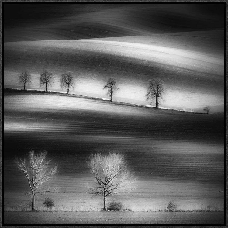"Trees" Framed Canvas Giclee by Piotr (Bax) Krol, 23x23"